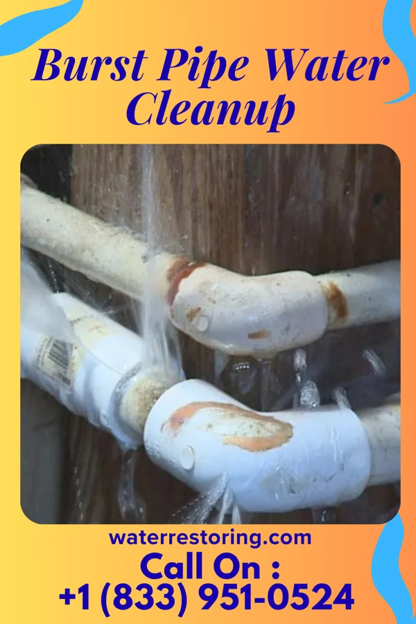 Burst Pipe Water Cleanup in Gratton, VA