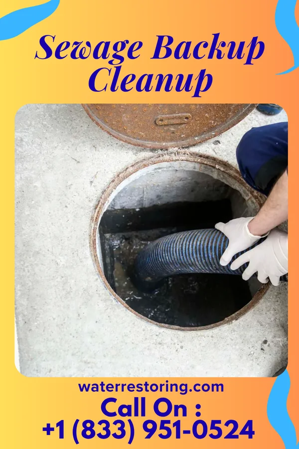 Sewage Backup Cleanup in Gratton, VA