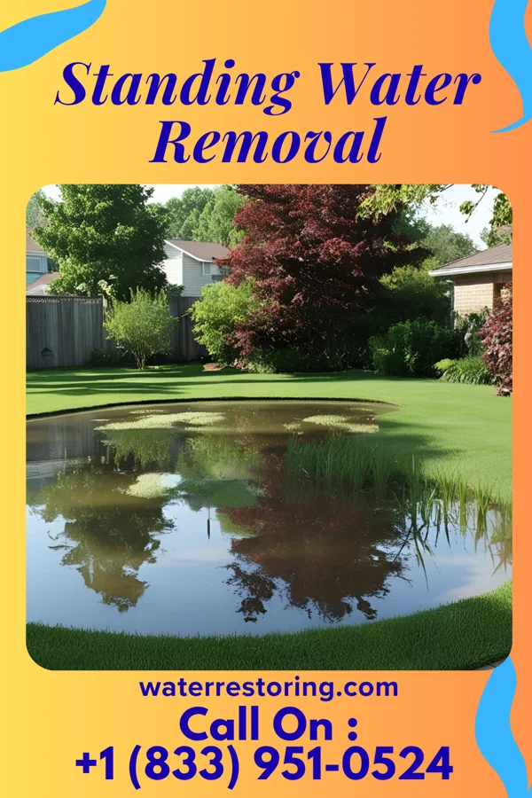 Standing Water Removal in Gratton, VA